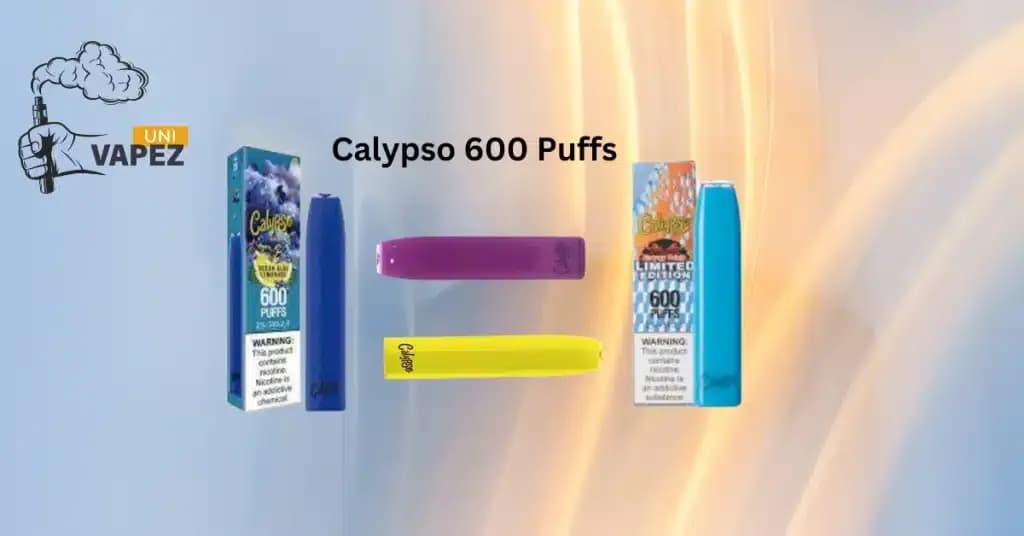 Exploring The Calypso 600 Puffs Disposable Pod Device